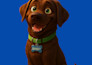 turn your pet into a disney or pixar character